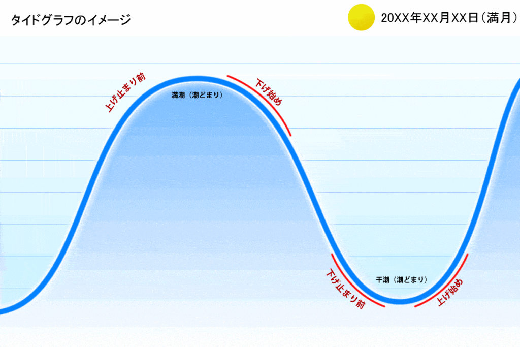 潮の動き（タイドグラフ）