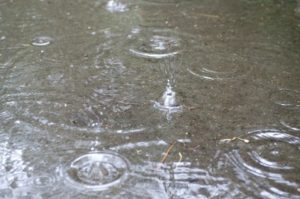 雨やくもりの日はシーバスが釣れやすい理由