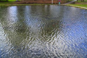 風がある日はシーバスが釣れる理由