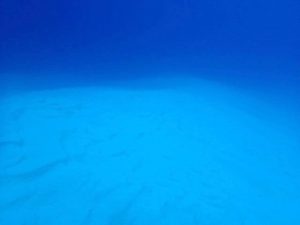 カケアガリやブレイクの5つの攻め方