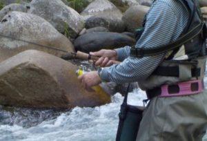 ルアーをただ巻きすることの重要性