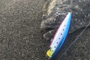 サーフでヒラメやマゴチのバラシを減らす10の方法