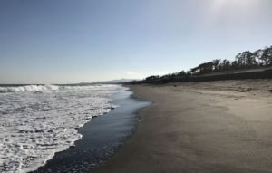 ローズマリー公園下（千葉県南房総市白子）