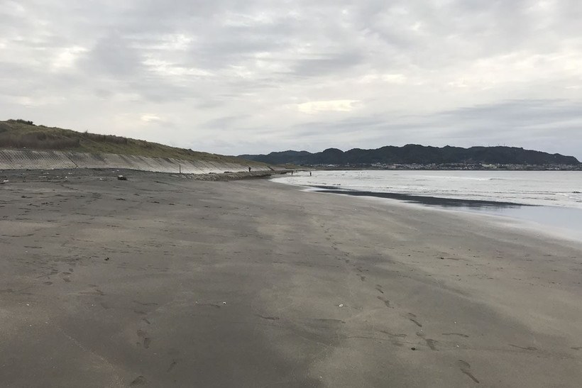 左側の消波ブロック前にアングラー多数