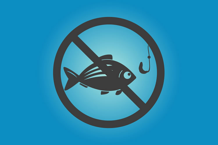 アジングでアジが釣れない原因と対策13選 釣りの教科書